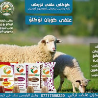 علف تركي • رزكاري • جودة عالية
