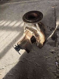 خنزيرة المانية • ٥×٤ • حدود واسط بغداد