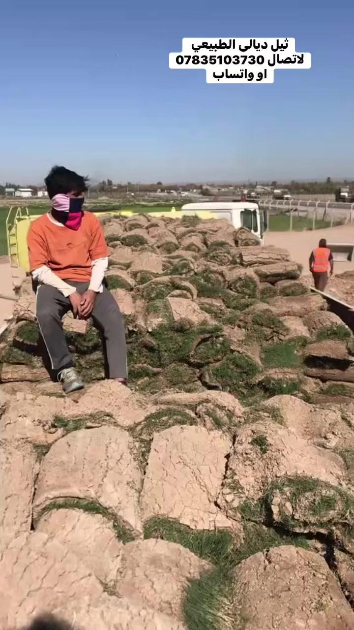 ثيل ديالى الطبيعي بكافة انواعة  والتوصيل مجاني لجميع المحافظات 
الاتصال على *********** او واتساب
