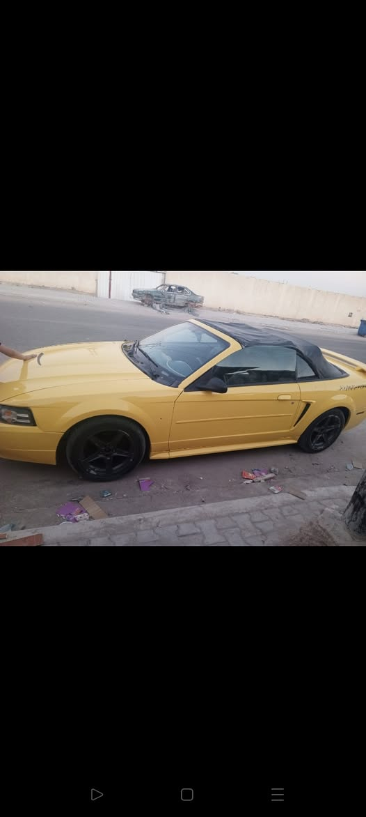 سلام عليكم موستنك جديده كلش كفاله من كلشي سياره كارتون تبريد مكينه كير حداديه تايرات كله جديد سياره احله من صوره بهواي صوت رياضي مكاني بصره رقم وسنويه سليمانيه وهزه سعره 45وبيه مراوس ماكو مشكلة تواصل ع رقم ***********
