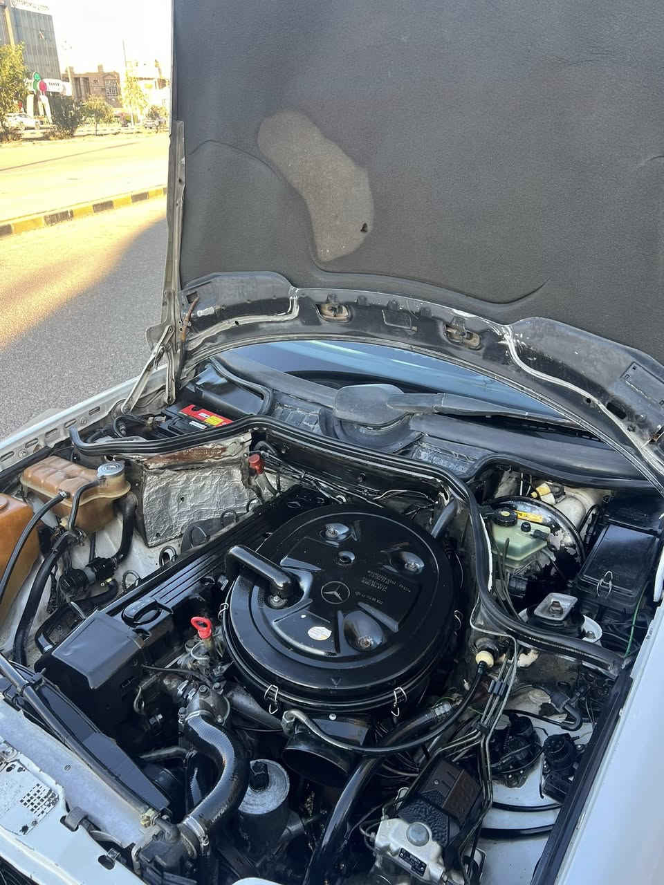 سلام عليكم 
مارسدس دب للبيع رقم بغداد أنكليزي السنويه لغايت 2030
موديل 1991 محرك بلادي (300) 6 سلندر كير ومحرك جدد 
تبريد شغال أريل كهربائي جام 4 تحكم كهرباء 
السياره مكفوله من الضربه مصبوغه عام للجماليه 
قواعد الدبلات سليمه 
حداديه + تخم تاير جديد 
مسجل + سستم سماعات 
منضومة زنون 
السياره جاهزه من كلشي السعر 73 وبيه مجال قليل 
للاستفسار ***********
