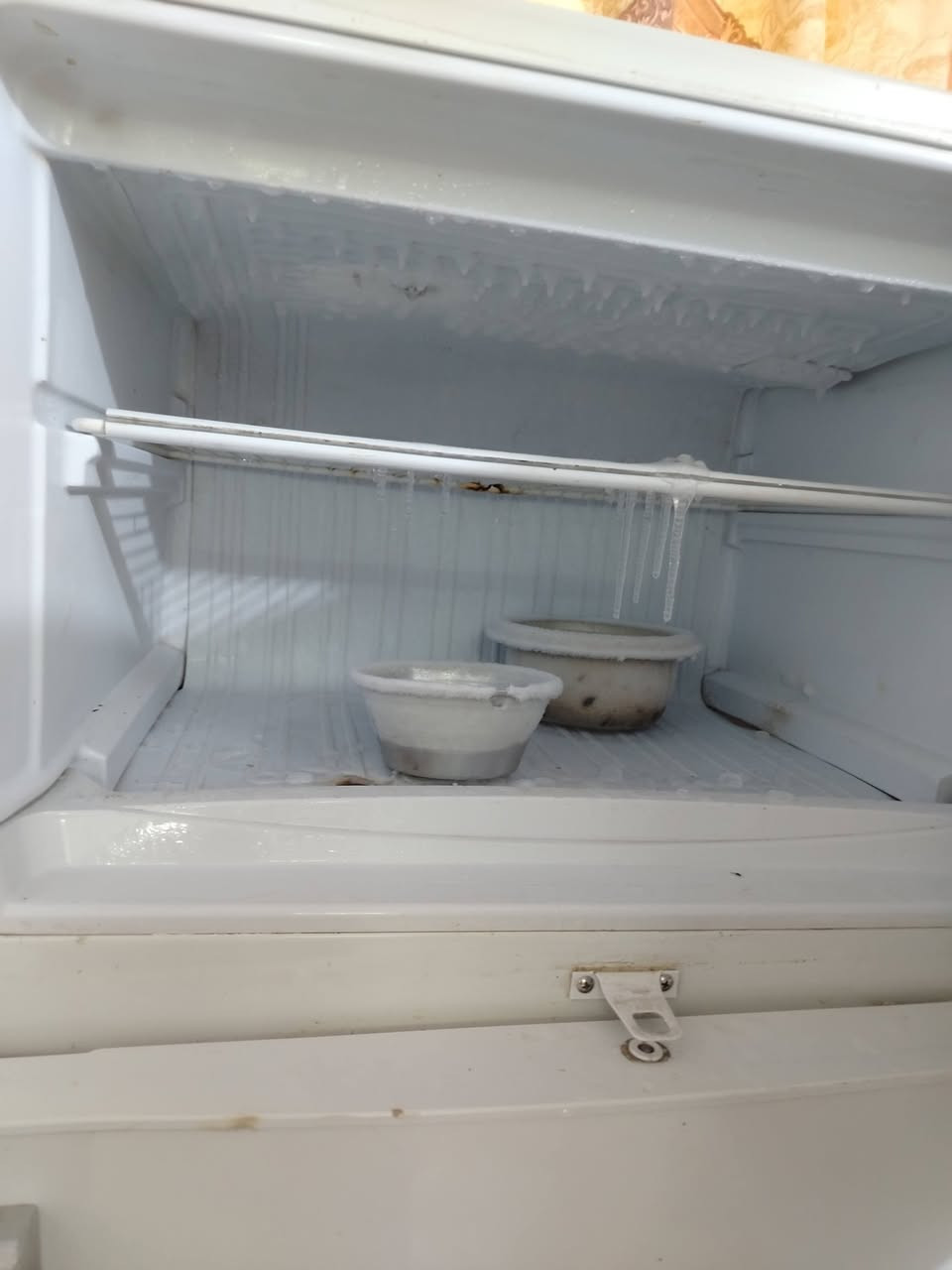 للبيع ثلاجه ب250 وبيهه مجال


**إذا كنت صاحب هذا الإعلان وتريد حذفه لأي سبب، رجاءا أرسل رسالة إلى الدعم الفني**