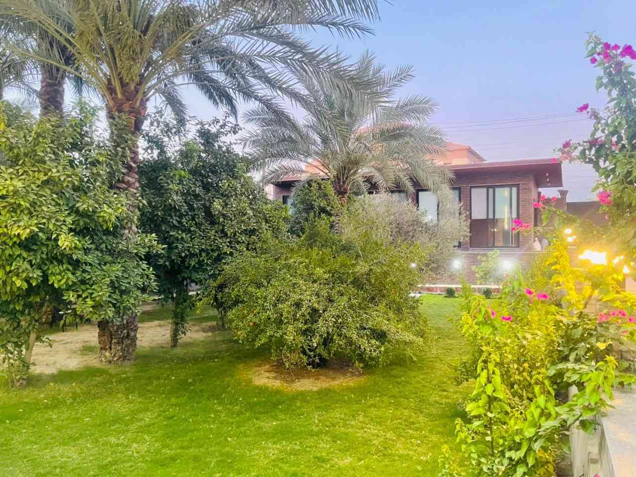 🌴 مزرعة فاخرة للإيجار اليومي - بغداد (البوعيثة) 🌴
تبحث عن مكان هادئ ومميز لقضاء أجمل الأوقات مع العائلة أو الأصدقاء؟ 🤔✨
نقدم لكم مزرعتنا المتكاملة والمجهزة بأعلى مستويات الرفاهية والتسلية في أجمل مناطق بغداد الخضراء (البوعيثة) 🌾
🏡 المزرعة مجهزة بـ:
 مسبح خارجي كبير (نظيف ومعقم بالكامل) 🏊‍♂️
 مساحات خضراء واسعة وحدائق منسقة لجلساتكم 🌲
 صالة ألعاب مجهزة بـ PlayStation وجلسة مريحة 🎮
 منضدة ألعاب لعشاق الحماس والتحدي 🏓
 صالة داخلية مكيفة ومجهزة بكافة الخدمات ❄️
 مكان مخصص للشواء (باربكيو) 🥩🔥
📍 العنوان: بغداد - البوعيثة -شارع الڤلل 
📞 للحجز والاستفسار، يرجى الاتصال على الرقم ***********

متوفر الحجز جميع ايام العيد سعر اليوم الكامل 500 الف
