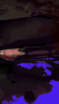 اللهم صلِ على محمد وال محمد الوحش اباتشي ونلي للبيع مواصفات معروفه يجي اربع نمر وبلوتوث وبك وغيره   فول نظافه جديد لون مميز كل نقص مابيها السعر مليون و٥٠ الف رجاءاً مو شراي لا تتعبني بياع شراي لا تكسر رجاءاً مكان بغداد شراي يتصل ***********
