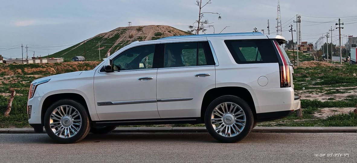 Cadellic escalede plateneum vip 2019
كفالة عامة  شركة منسور أربيل داخل بيجي ماشي ٣٣ الف كيلومتر جديد بل وضع شركة
***********
هەموو گیانی بەشەرت لەسەر دەقی شەریکە ٣٣ هەزار کیلومەتر ڕۆیوە شەریکەی مەنسور هەولێرە، ناو کرێمیە *********** أربيل, العراق
