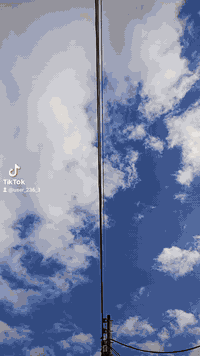 للبيع 20 جاهزه ستوته خير من الله مكانه بل شطره شراي يتصل على الرقم راعيه ***********
