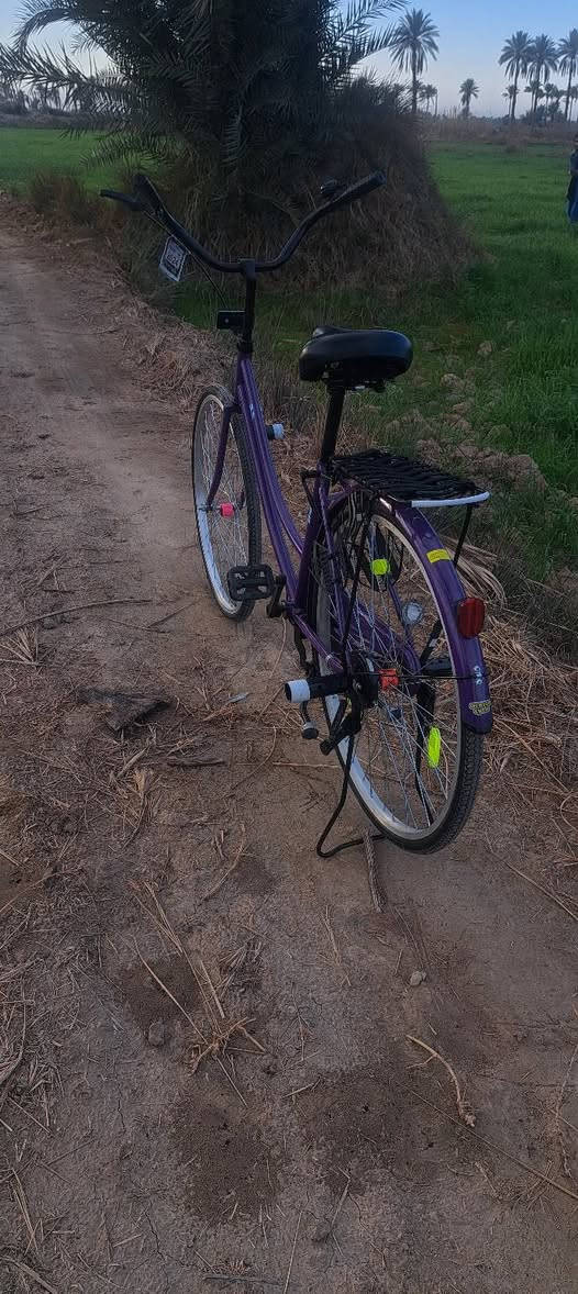 سلام عليكم
باسكل للبيع او للمراوس شعدك نزل 

باسكل مديل 22.8

الباسكل نضيف نضافته 95

الباسكل بي شخوط الحاويه فقط وبي عقجه بل صينيه مال حاويه 

شركه BD🏅

ولباسكل صارلي شهر من منزله نضيف 

الباسكل سعره 140 وبي مجال للطيبين🤎🏅


**إذا كنت صاحب هذا الإعلان وتريد حذفه لأي سبب، رجاءا أرسل رسالة إلى الدعم الفني**