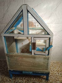 قفص • طير حب • واحد