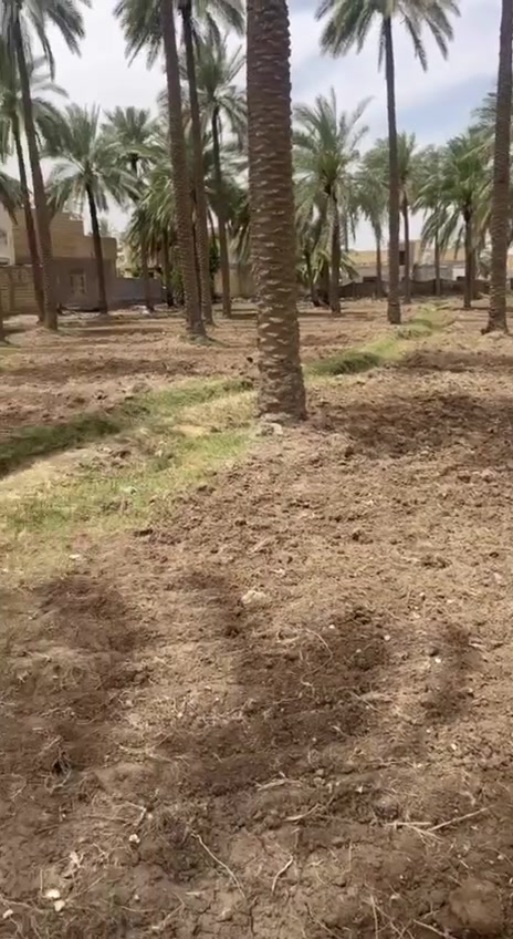 السلام عليك ارض 1000متر   لبيع
موقع الارض  ع طريق حمزه هاشميه قريبه ع جسر الهاشميه 
سند عثماني 

الاستفسار 
***********
