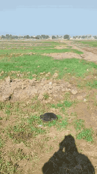 يالله سلام عليكم اخوان يوجد قطعه ارض للبيع دونم المساحه 2500 متر صافيه طريق قاسم جفل ماي اساله كهرباء شارع قريب عليهه السعر 35 وبيهه مجال اتصل صاحب الارض مكلف بل النشر***********
