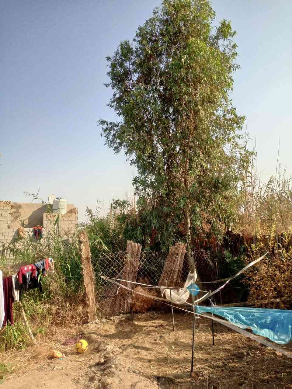 السلام عليكم
بيت  280 تحت البناء صب مسلح خمس غرف صالتين اربع حمامات مضيف 10 م مع مساحة 878 مدارس ماء كهرباء مولد يبعد عن شارع الزوار 700 م وعن الامام 10كم
طريق طوريج كربلاء عمود 245
طابو زراعي 25***********
