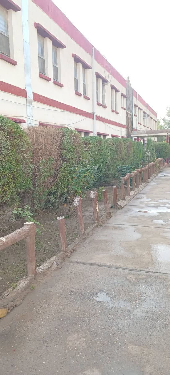 حارث الفلاح –🪄
🌿 خدمات الحدائق في بغداد 🌿

نقدّم جميع خدمات الحدائق  للمدارس والمنازل والمزارع:

قص وتنظيف الحدائق 🌱

تقليم الأشجار والشجيرات ✂️

ترتيب وزراعة الورود 🌸

قص الثيل الطبيعي  🍃

✨ شغل نظيف – أسعار مناسبة – التزام بالمواعيد

📞 للحجز والاستفسار:
*********** يتوفر  واتساب.
