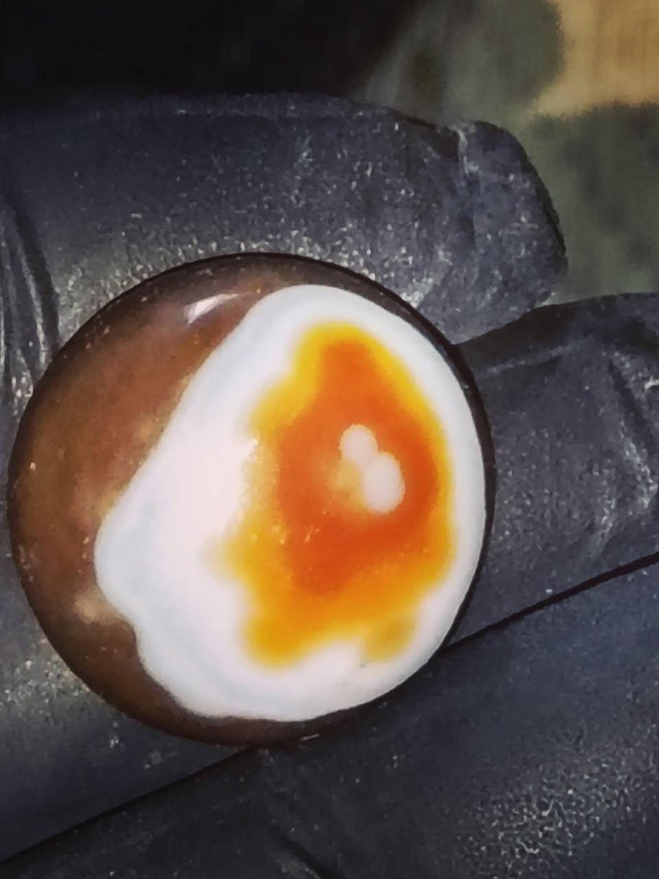 جزع يماني بقري قديم للبيع


**إذا كنت صاحب هذا الإعلان وتريد حذفه لأي سبب، رجاءا أرسل رسالة إلى الدعم الفني**