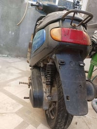 منغولي • شغاله • سلف هندل