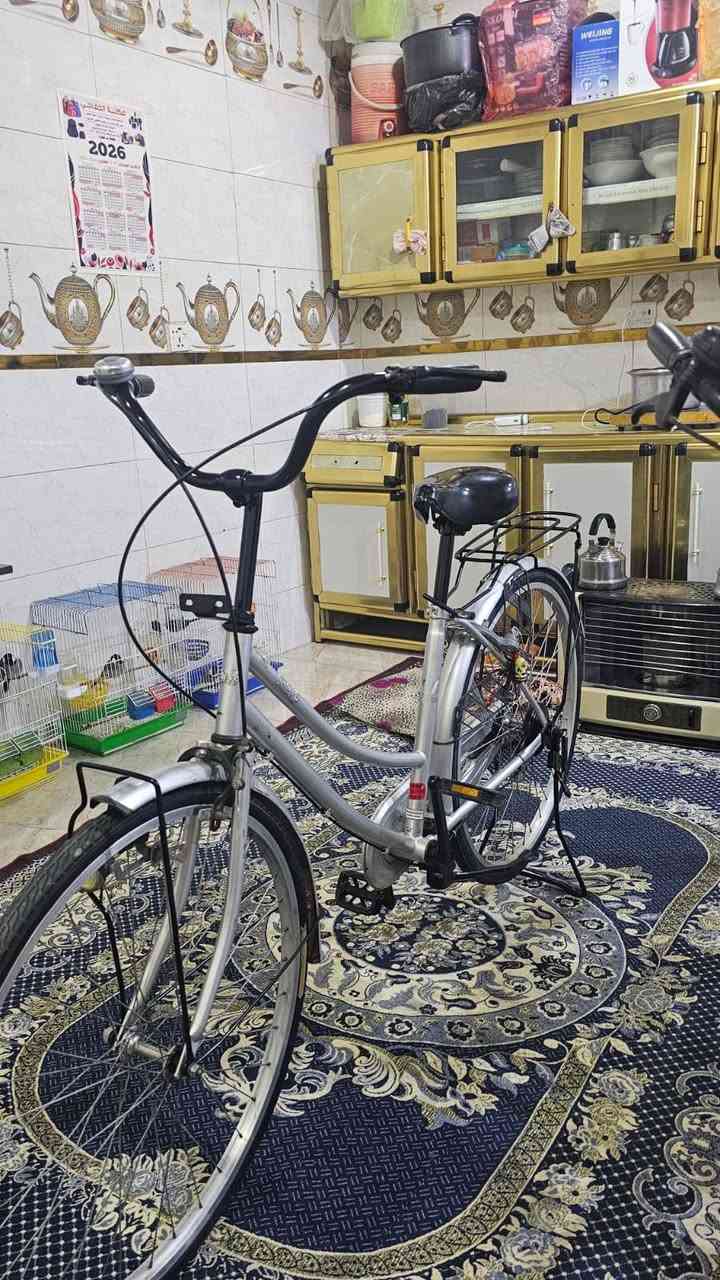 السلام عليكم ... باسكلات للبيع فول نضافه باسكلات درجه اولى الرصاصي ب140 و الاسود 140مكاني كربلاء طويريج السياحي للستفسار مراسله الصفحة أو الاتصال على الرقم ***********
