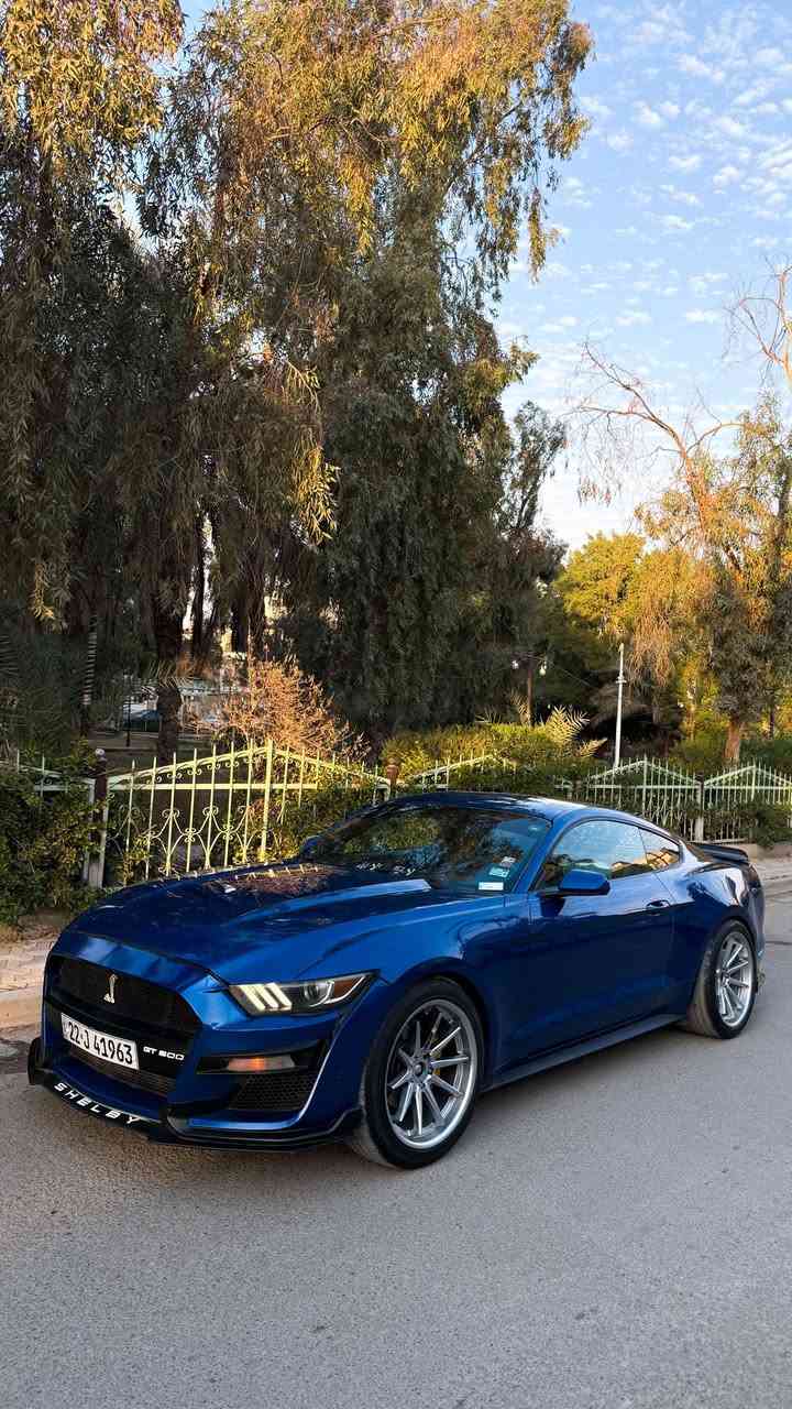 موستنگ ايكو 2017 تراك بكج  قطعتين صبغ جاملغ خلفي +امامي عكس السايق    بدون دواخل شاصي لغد كفاله السياره جديده 
ترايها وين ميعجبك قوه ونعومه 
ماشيه 53 الف السياره بيها
كيجات وسطيه تراك بكج
دعاميه اماميه شيلبي 
ويل فيراد تو سايز حجم 20  
سبايدر شيلبي
لويات مهبطه
دفيوزر خلفي هينسي
ليد تكساس
 السياره كلشي مناقصها ترايها كلش حلو صدر وادامه قبل فتره جاهزه ع اخر حبه 
رقمها اربيل تريد تحويل وكاله ماكو مشكله وصفر غرامات 
السعر 128 بيها مجال
مكاني بغداد جديده 
***********
