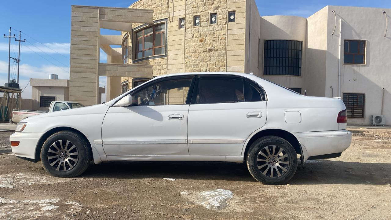 فرخ بطه موديل ( 1992 ) رقم صلاح الدين دولي سنوية ( 2030 )شرط التحويل محرك وكير نضيف حجم( 16 )  
السيارة جاهزه وبدون صبغ السعر ( 65 ) العنوان الشرقاط 
رقم الهاتف ***********
