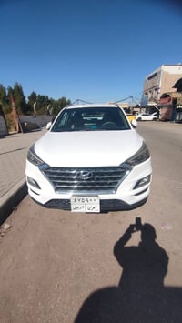 توسان خليجي • ٢٠١٩ • صبغ