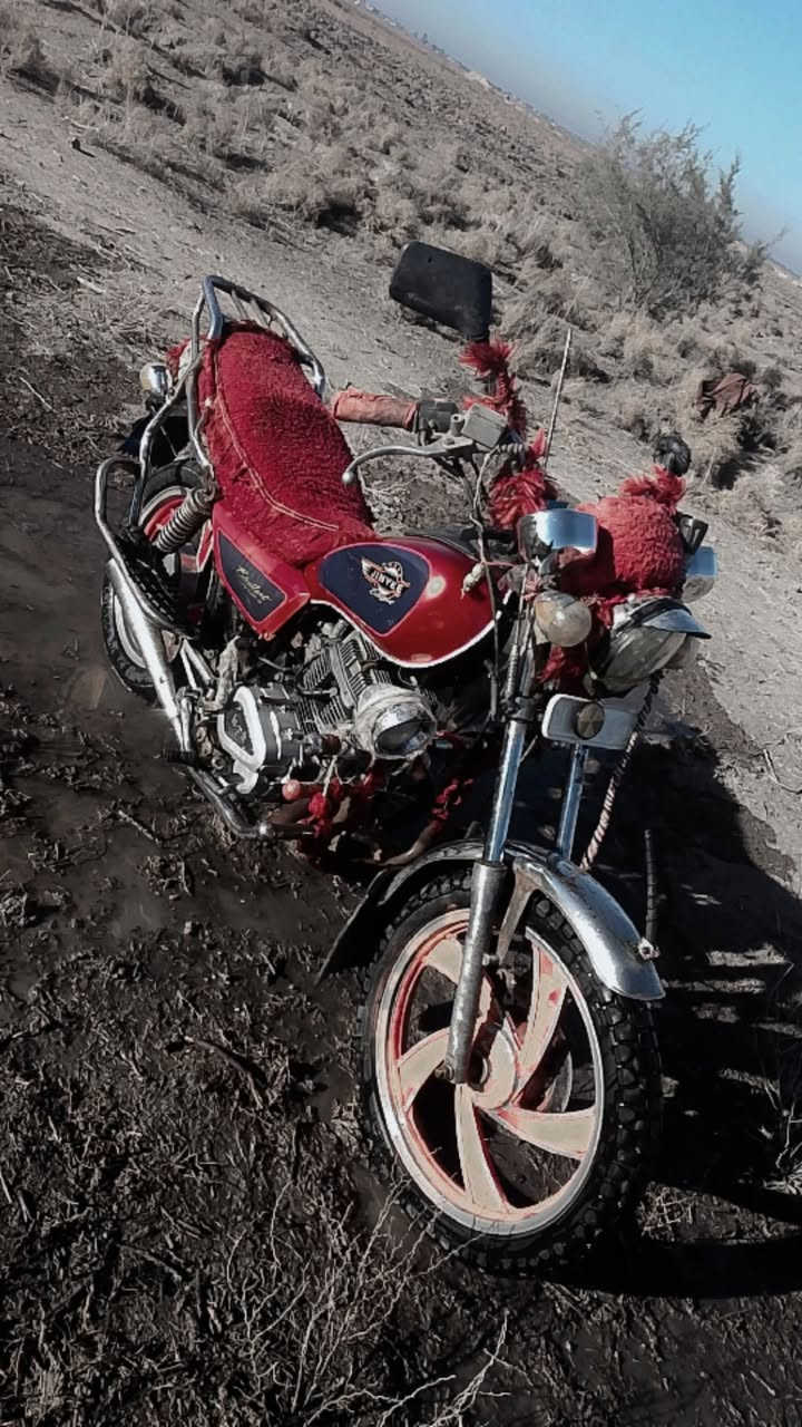 دراجه جونده للبيع مكان ديوانيه عفك السعر خاص ترهم مراوس تصال***********،،،،،،،،،،***********
