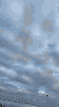 شيري • جاهزه • رقم بغداد