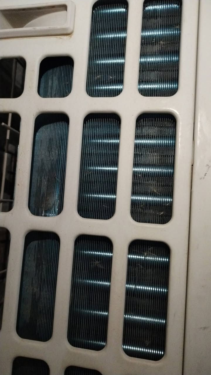 السلام عليكم البيع
سبلت 2طن غاز ماطور شركه بعده جديداي عيب مابي
سبلت 2نص طن عامودي غاز ماطور شركه جديد اي عيب مابي تواصل عل رقم ***********
