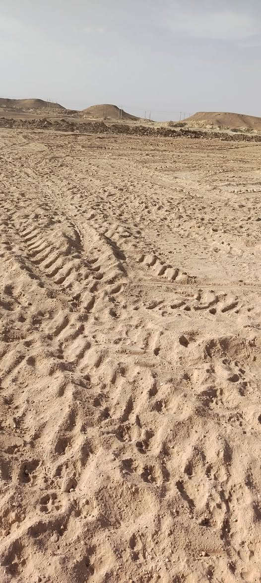 قطعه أرض للبيع


**إذا كنت صاحب هذا الإعلان وتريد حذفه لأي سبب، رجاءا أرسل رسالة إلى الدعم الفني**