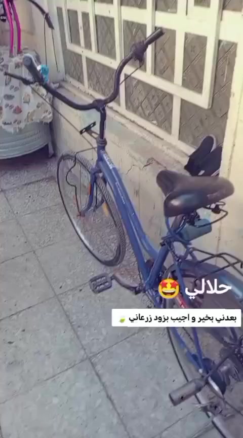 للبيع 65قفل بغداد البلديات فقط


**إذا كنت صاحب هذا الإعلان وتريد حذفه لأي سبب، رجاءا أرسل رسالة إلى الدعم الفني**