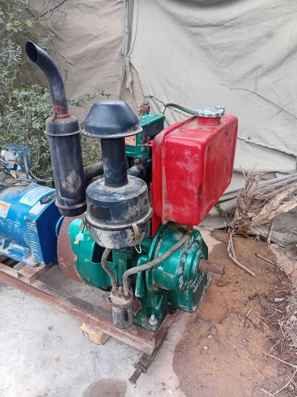 السلام عليكم للبيع مولده هندي المكان ديوانية الشراي يتصل ***********
