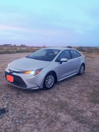 الشرقاط الساحل الايسر • تكريت • غدا ٧ص