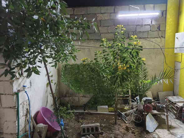 بيت للبيع مساحه 100 متر قرار محكمه زراعي 
 بي غرفه 5×5 وصاله 7ونص×5ونص
 ماي كهربأ وطني مولده جاهز  
ارضيه بورسلين جديد عالي عن الشارع سقف سندويش 
السعر 15 وبي مجال 
العنوان كوفه علوة الفحل خلف مشروع الماء
‏‪***********‬‏ واتساب
