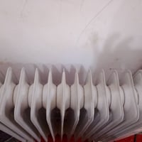 صوبه زيتية • ١١ ريشة • المشخاب سوق شعلان