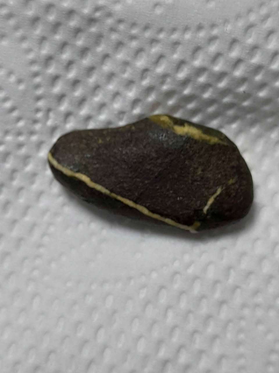 ‎شعارنا الاصلي 
حجر هبهاب معطف اصلي طبيعي مشروط على شكيل قدم قديم سعر 70وتوصيل مجانا‎ حلة, بابل


**إذا كنت صاحب هذا الإعلان وتريد حذفه لأي سبب، رجاءا أرسل رسالة إلى الدعم الفني**