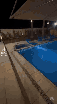 #مزرعه_جوليا بغداد -ابوغريب  07775553700