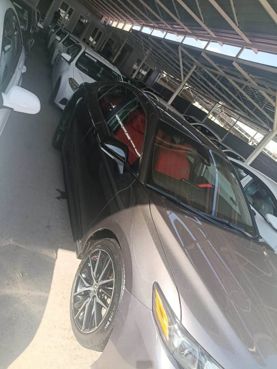 آقساط اقساط اقساط
كامري موديل 2021 🚗

فول الفول 🚗

مقدمه 85 وكل شهر 3 🚗

بدون حادث 🚗

شاشه جبيره شركه 🚗

كير اوتو 🚗

ارقام دولي مسطره 🚗

داخل احمر 🚗

شفتات استيرن 🚗

تحكمات استيرن 🚗

تخم تايرات جديد 🚗

تخم جديد 🚗 

نوزلات جديد 🚗

ملاحضه : بيه قطعتين صبغ جاملغ الباب بدون معجون شرط 

للستفسار عبر الأرقام ☎️

 

*********** وات ساب فقط

