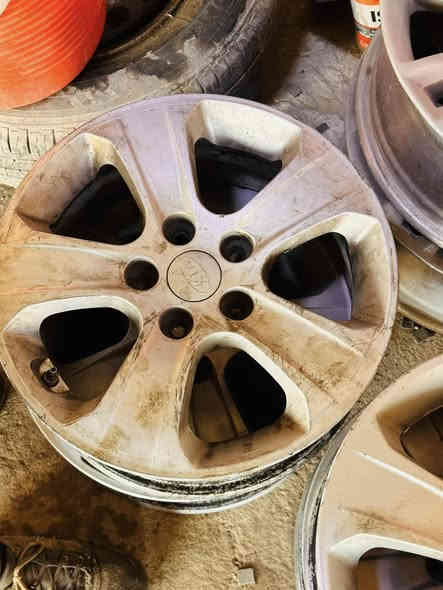 وياله تخم وبتمه للبيع مكان بابل الشوملي الستفسار ***********
