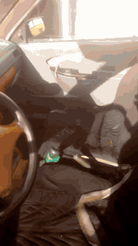 سلام عليكم ورحمة الله وبركاته سايبه موديل ١١ دشبول عادي سنويه عضم عاج مكينه تبخير بيه كير جديد سياره مال بيت نضيفه ومرتبه سعره مناسب،للي يريد يعيش بيه الي يدور مكفول  لا يدخل الفديو والي يريد يعيش وعنده عائله تفيده مال بيت كهربائية شغاله بس،الايت الاماني ماكو هورن بيه خلفي لايت موجود سعره جوه السوك ورقم احمر بغداد سنويه عضم عاج الاصليه اسويك مكاتبه تأخذه من بيتي،اي شكال اني حاضر راعيه مسافر مايطلب عليه ولا الف اتكفل عن الحلال والحرام وكلشي،بالقانون وياك اني سعر مليون بالعراقي شراي اتصال مكاني بغداد مدينه الصدر ***********
