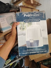 منقيه • كبيرة • مرتبة