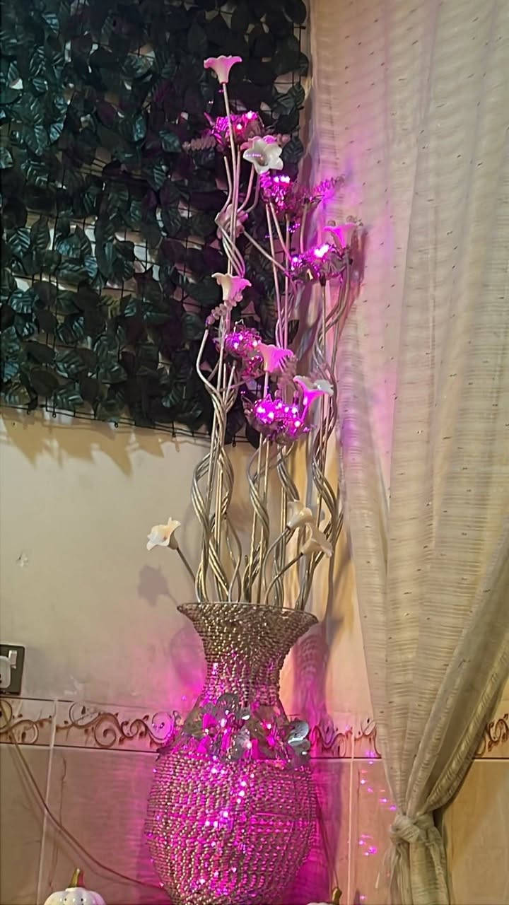 بيع مستعجل بداعي السفر


**إذا كنت صاحب هذا الإعلان وتريد حذفه لأي سبب، رجاءا أرسل رسالة إلى الدعم الفني**