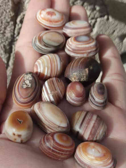 إن الله هو الرزاق ذو القوة المتين
جزع مختلف ومميز سعر القطعة 5 الاف 
للتواصل واتساب : ***********
