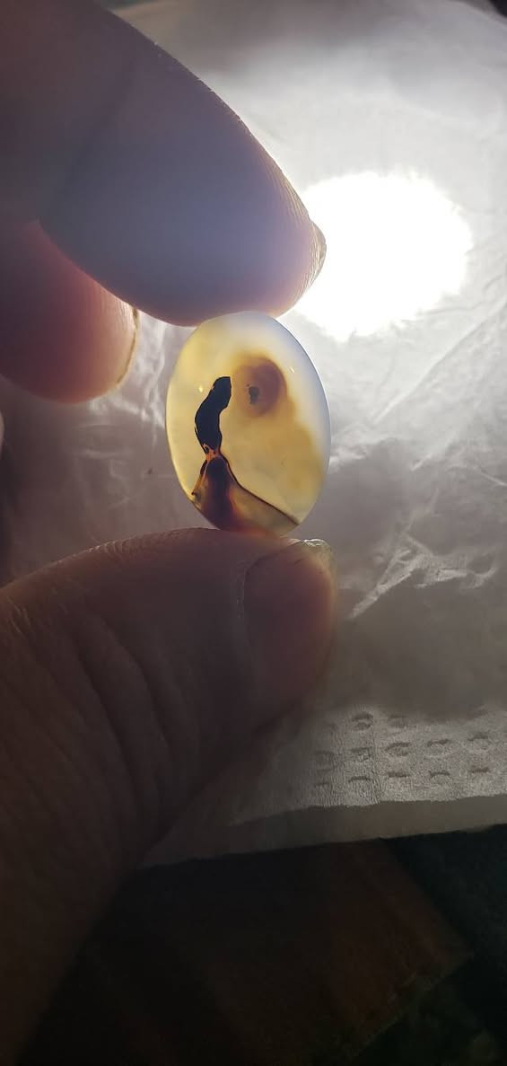 مصور صريح البيع مفرد


**إذا كنت صاحب هذا الإعلان وتريد حذفه لأي سبب، رجاءا أرسل رسالة إلى الدعم الفني**