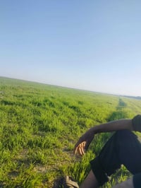 ربيع • أرض • سعر خاص