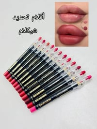قلم تحديد شفايف • ١٢ لون • ثابت