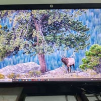 شاشة Hp Zr2240w 22 inch 1080*1920 Ips 60 هيرتز الونها كلش حلوة 50 الف ...