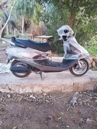 سبيسي • كفالة عام • مكان كوت داحره