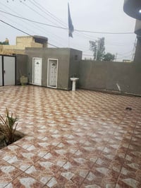 طابو زراعي • الديوانية طريق السنية • 300م