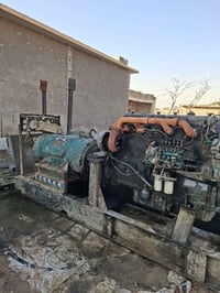 اسكانيه 112 راس توليد 250 كيفي /  07714351926