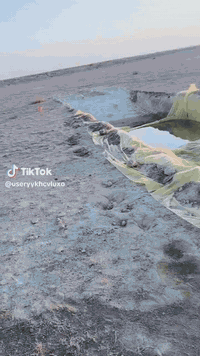 ***********
حفرمكتب حفر لابار لارتوازيه#بالادارة#محمد #الكرعاوي الشمري#
حفرابار أرتوازيّه بكافه الحجام
غسل _تنشيف الابار
حفر _الركائز
حفر _النقاط
حفر_فحص التربه
عمل_كافه المقاولات-العامه
نعمل_في كافه المحفضات العراق_دقه في العمل وسرعه في النجازات#
وتساب ***********
ااتصل الى لارقام التاليه
***********
***********
***********
*********** الآبار الارتوازيه تصل الئ 100
وتجفيف المنهولات
تعبيرات الشارع
***********.
***********

