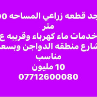 الزبير • دواجن • نص دونم