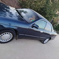 بطه منفصل • ١٩٩٤ • بابل