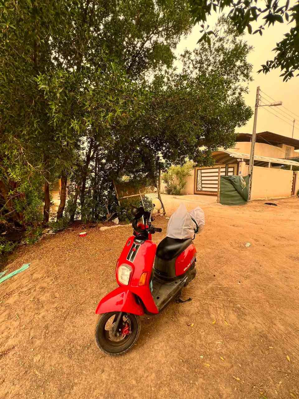 للبيع دراجه بوليس رمبه صارلهه شهرين من ماخذهه موجود عندي بيهه وصل الشراء من معرض حسين بصره الي رايدهه يراسلني خاص ونتفق ع السعر ويدلل 
***********
